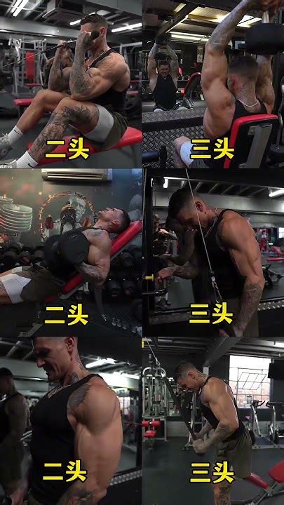 Best Bicep And Trycep Gym Video 💪💪bicep Ka Best Video Tricep Ka Best