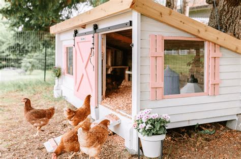 Installer Un Poulailler Au Jardin Normes Et R Glementations