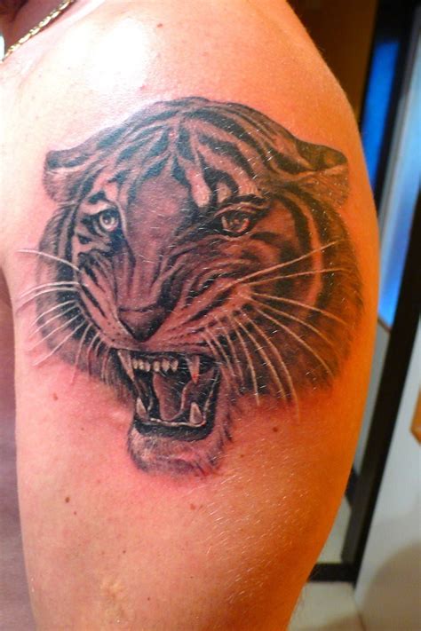 Beautiful tiger head tattoo by fpista - Tattooimages.biz