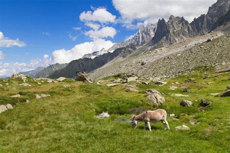 Aiguille du Midi Summit stock image. Image of nature - 23909481