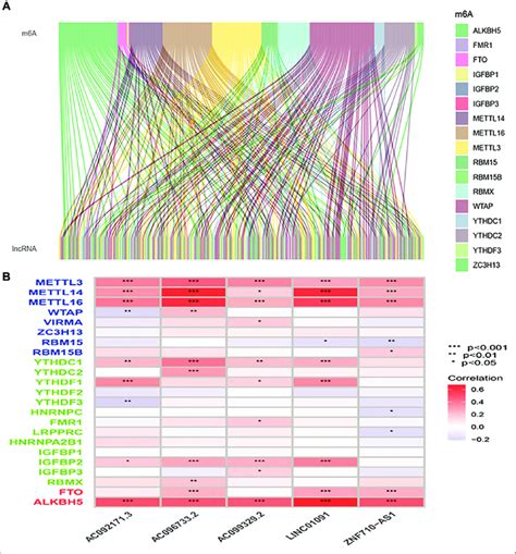 A Sankey Relationship Diagram Of M A Genes And M A Related Lncrna