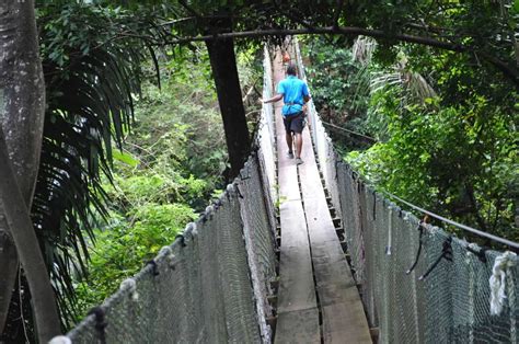 Mayan Jungle Canopy Zipline - Discover Roatan Excursions & Tours