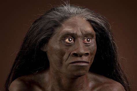 Homo Floresiensis Hobbit Dunia Nyata Yang Berasal Dari Indonesia