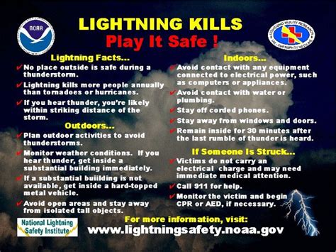 Lightning Kills Play It Safe Emergency Water And Smoke Removal Blog