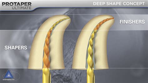 Invention Protaper Ultimate Rotary File System Advanced Endodontics