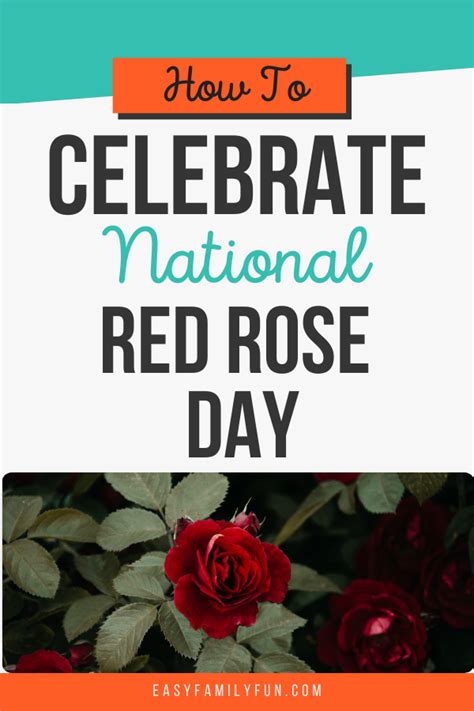 Embracing Love and Beauty: Celebrating National Red Rose Day - Easy ...