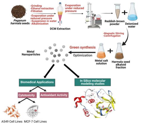 Nanomaterials Free Full Text Green Synthesis Of Platinum And