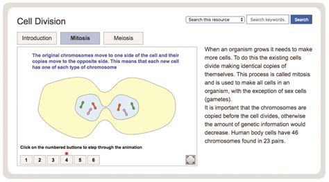 Essential Biology Focus Educational Software