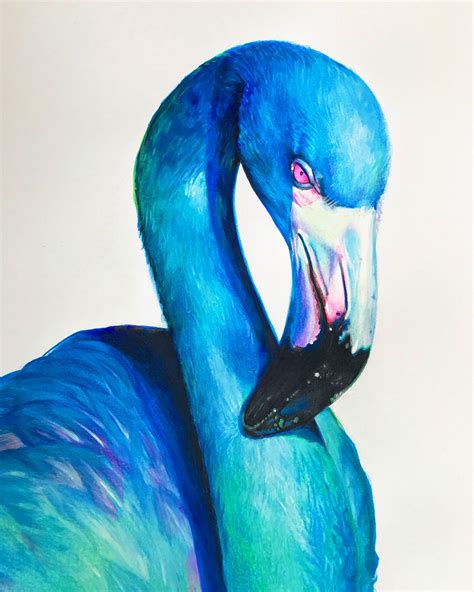 Blue Flamingo On Behance