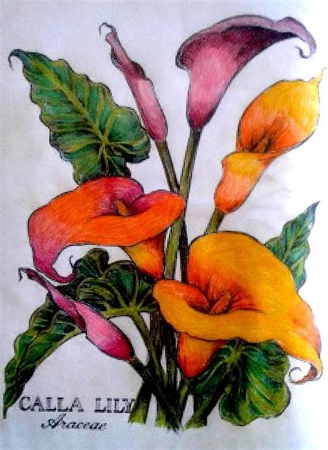 Coloured By Elizabeth Frandsen du Plessis‎. | Garden spinners, Flowers, Painting