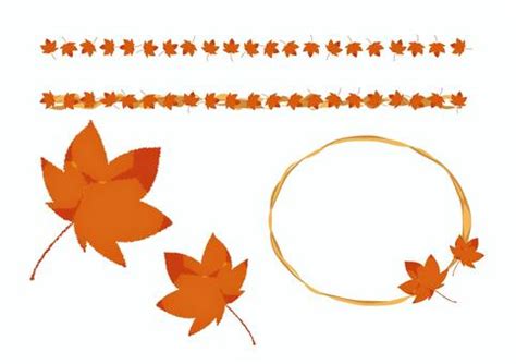 Free Vectors | autumn leaves set