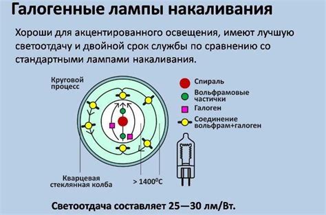 Какие лампы лучше для дома: накаливания, энергосберегающие, светодиодные
