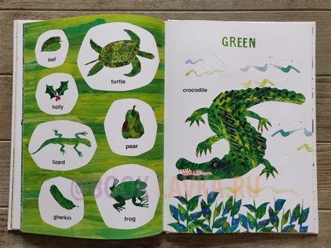 Eric Carle S Book Of Many Things Over 200 First Words купить в интернет магазине Booklavka