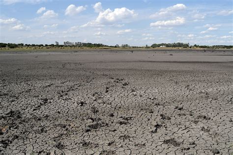 Uruguay Decreta Emergencia Agropecuaria Por La Sequía Ultimo Cable