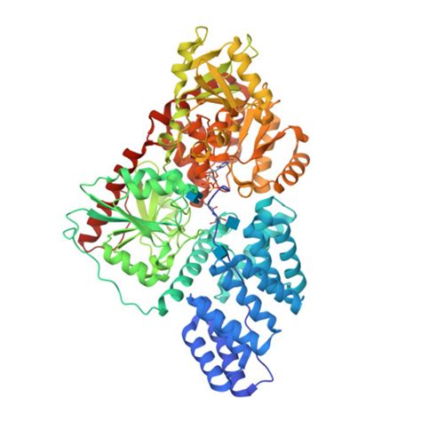 Rcsb Pdb Lvv Human Ogt In Complex With Udp And Fused Substrate