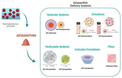 Marine Drugs Free Full Text Astaxanthin Delivery Systems For Skin