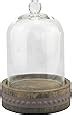 Amazon Stonebriar 12 Inch Clear Glass Dome Cloche With Rustic Wood