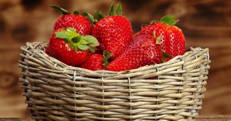 7 шагов до небывалого урожая клубники | Strawberry, Green desserts ...
