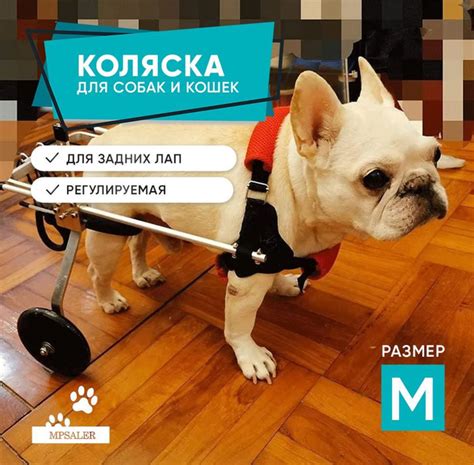 Инвалидная коляска для собак и кошек. Коляска для животных инвалидов ...