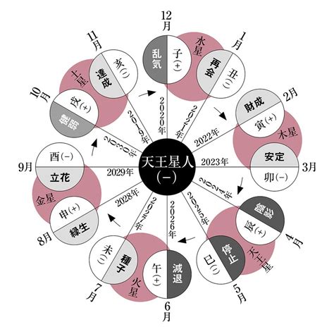 【2024下半期の運命更新！】天王星人の霊合星人｜細木かおりさんが六星占術で占う2024年の運命