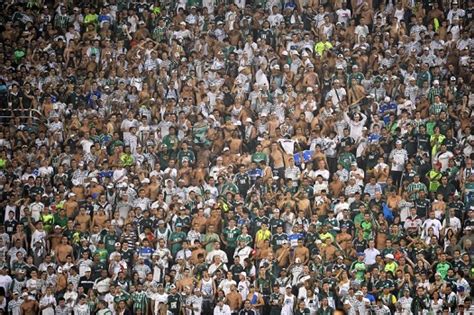 Un Muerto Y Tres Heridos En Pelea Entre Hinchas De Palmeiras Y Santos