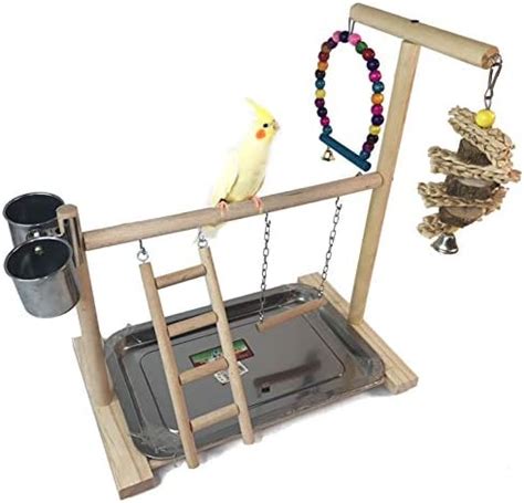 Amazon Hamiledyi Bird Playground Parrots Play Stand Wooden Parrot