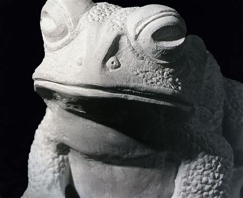 Carved Stone Frogs Toads By Jonathan Sells Dorset Stone Carver Sculptor