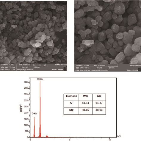 FESEM Images At Different Magnifications And EDX Spectra Of