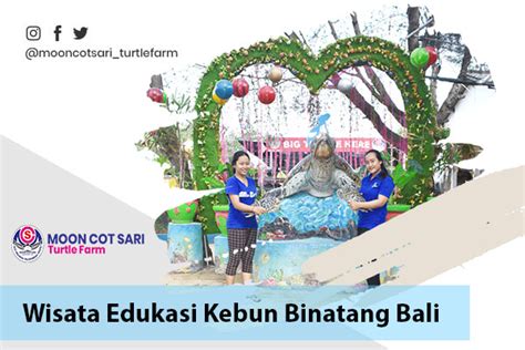 Wisata Edukasi Kebun Binatang Bali Moon Cot Sari Turtle Farm