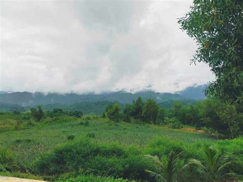 Titled Residential Farm Lot For Sale Sa Pililla Rizal Lots August