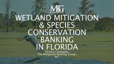 Wetland Mitigation Banking Florida Summer Ppt