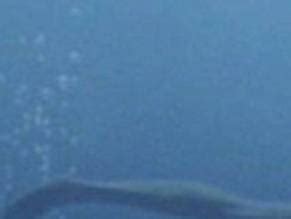 BEVIN KAYE Nude AZNude