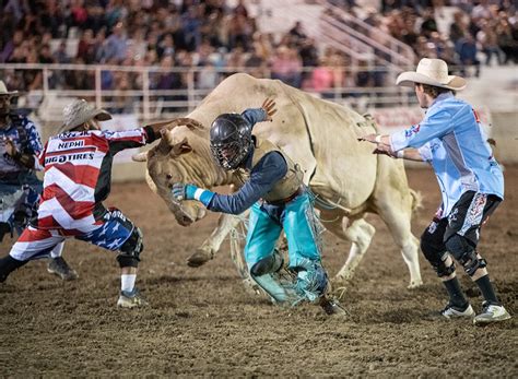 Ute Stampede Rodeo