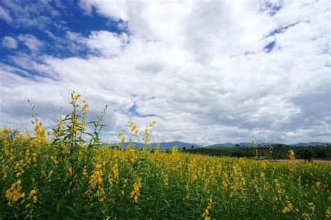 Visita Mae Chan El Mejor Viaje A Mae Chan Provincia De Chiang Rai