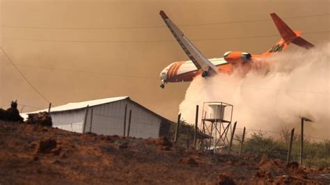 Chile wildfires beginning to ease, 24 dead | Hindustan Times