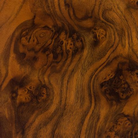 Walnut Burl