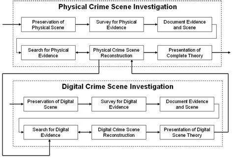 Crime Scene Search Patterns Worksheet