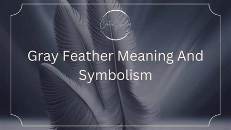 Blue Feather Meaning And Symbolism Interpretations