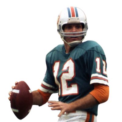 Bob Griese Career Stats | NFL.com