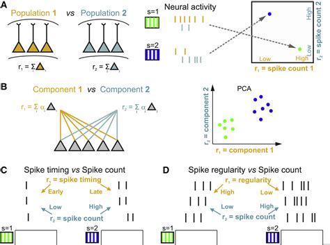 Cracking The Neural Code For Sensory Perception By Combining Statistics