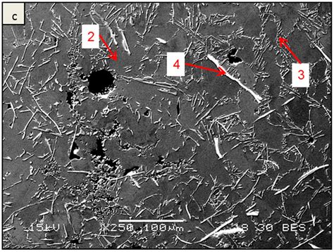 Metals Free Full Text Corrosion Behavior Of Alsi10mg Alloy Produced