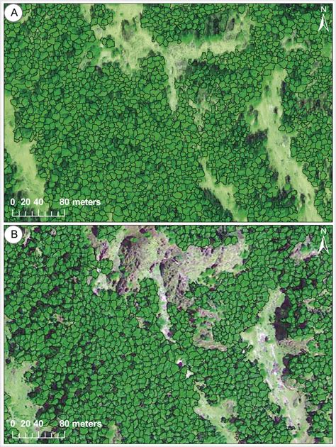 Forest Condition Monitoring Using Very-High-Resolution Satellite