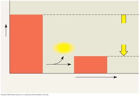 Exergonic reaction Diagram | Quizlet