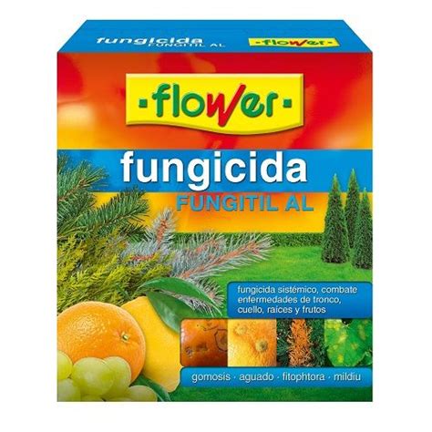 Fungicida Fungitil Fosetil Al Flower 2 X 50 Gr Con Ofertas En Carrefour Ofertas Carrefour