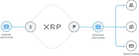 Xlm Vs Xrp What S The Difference