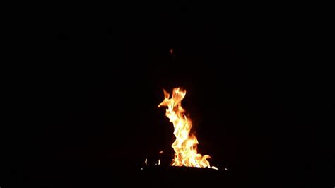 Fire Torch burning 11996740 Stock Video at Vecteezy