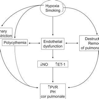 Cor Pulmonale Treatment Guidelines - Captions Update Trendy