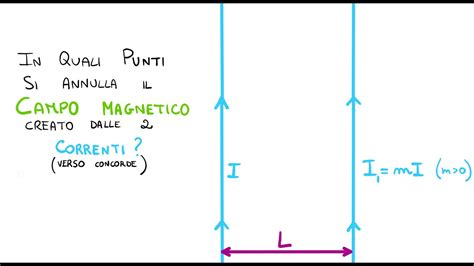 Dove Si Annulla Il Campo Magnetico Generato Da Due Fili Paralleli Con