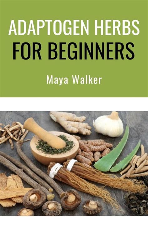 Adaptogen Herbs For Beginners Ebook Maya Walker