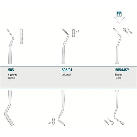 Gingival Cord Packer Round